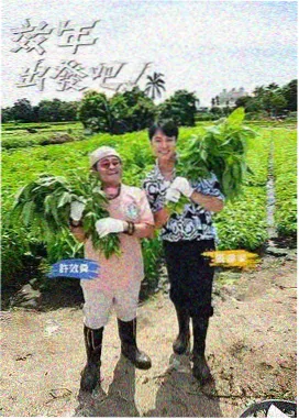 慢火厨房 免费综艺在线观看